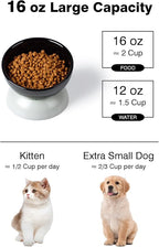 ABRUTY Cat Water Bowl, 16 OZ Ceramic Elevated Cat Bowls, 15° Tilted and Raised Pet Food Dish, Anti Vomiting Protect Pets' Spines and Whisker Fatigue, Black & Gray
