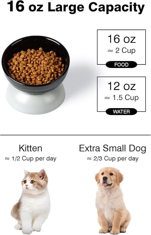 ABRUTY Cat Water Bowl, 16 OZ Ceramic Elevated Cat Bowls, 15° Tilted and Raised Pet Food Dish, Anti Vomiting Protect Pets' Spines and Whisker Fatigue, Black & Gray