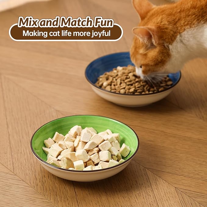 Colorful Ceramic Cat Bowls Set - Wide and Shallow Dishes for Food and Water - 6-Pack Cat Feeding Bowl Whisker-Friendly - Microwave and Dishwasher Safe - 5.7" x 1.3" - 5 oz