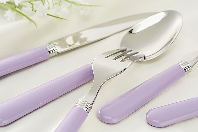 ANNOVA Stainless Steel Colorful Tableware Kitchen Flatware Set Utensils, Includes Dinner Knives, Forks, Spoons, Salad Forks & Dessert Spoons, Modern Rounded Shape (Lilac, 20 Pieces)