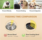 Havniva Ceramic 0.9 Cup Raised Slow Feeder Dog Bowl Set, Elevated 6.1inch Water Bowl and 6.1inch Slow Dish with Acacia Wood Stand for Small Dogs (2 x Starry Sky+ Stand)
