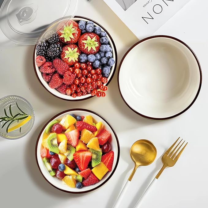 Ceramic Bowls with Lids Set of 4,20 oz Ceramic Serving Bowls with Lids for Kitchen,Office Lunch,Picnic, 5 Inch Prep Bowls for Meal Prep, Cereal, Salad, Microwave Dishwasher Safe