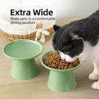 6.2 Inch Extra Wide Elevated Ceramic Cat Bowls, Food and Water Bowl Set for Elder Big Cats Small Dogs, Raised Design for Pet Easy Eating, Protect Cat's Spine Set of 2(Light Green)