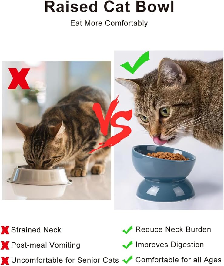 ABRUTY Cat Water Bowl, 16 OZ Ceramic Elevated Cat Bowls, 15° Tilted and Raised Pet Food Dish, Anti Vomiting Protect Pets' Spines and Whisker Fatigue, Blue