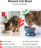 ABRUTY Cat Water Bowl, 16 OZ Ceramic Elevated Cat Bowls, 15° Tilted and Raised Pet Food Dish, Anti Vomiting Protect Pets' Spines and Whisker Fatigue, Blue