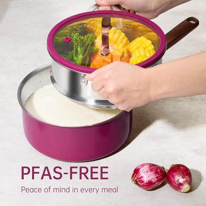 CAROTE Stainless Steel Saucepan Set, 2 Sauce Pans, Purple