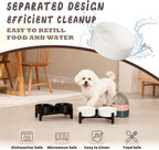 Raised Ceramic Dog Bowl Set - Elevated Double Dishes with Stainless Steel Stand - Food and Water Bowls for Small Dogs and Indoor Cats - Each Holds 1.6 Cups (10.8 fl oz) - White