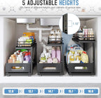 Under Sink Organizer Upgrade To Professional Rails,2-Tier Dual Pull Out Cabinet Storage,Height Adjustable Slide Out Drawers For Bathroom Kitchen,2 Pack-14.5"Dx12.8"-16.9"H,Black