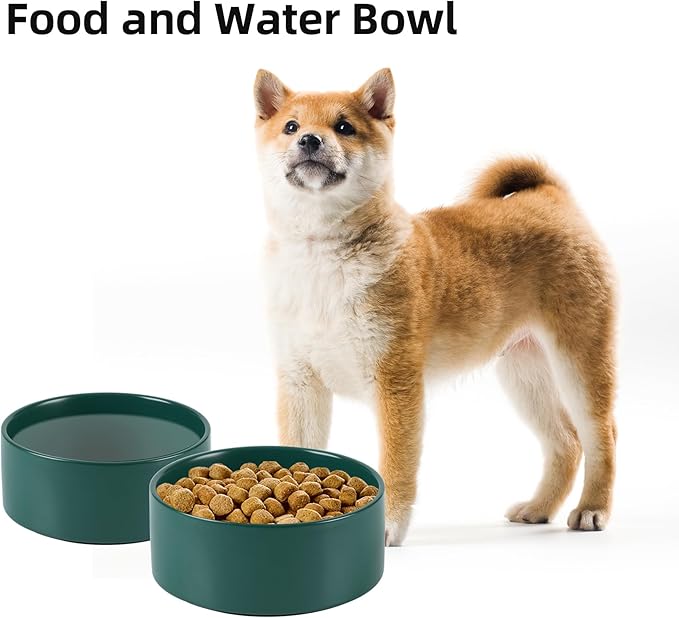 Havniva Ceramic 6.1inch Non-Slip Dog Food and Water Bowl for Small & Medium Breed Dogs,Pet Bowl for Replacement, Protects Cervical Spine (Green)