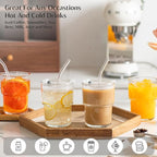 INSETLAN 13oz Portable Glass Tumblers Set of 2, Thick Wall Glass Cups with Lid and Glass Straw, On-the-Go Coffee Cups for Iced Coffee, Tea, Milk, Hot & Cold Drinks, Travel & Daily Use