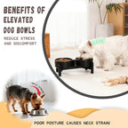 Raised Ceramic Dog Bowl Set - Elevated Double Dishes with Stainless Steel Stand - Food and Water Bowls for Small Dogs and Indoor Cats - Each Holds 1.6 Cups (10.8 fl oz) - Grey