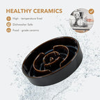 Havniva Ceramic 1.6 Cup Dog Bowl Slow Feeder for Large and Medium Dog, 8.2inch Pet Slow Dish, Stop Bloat, Preventing Choking(Single Bowl, Starry Sky)