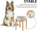Havniva Ceramic 8.2inch Raised Dog Bowl Set, Elevated Feeder with Stand, Food and Water Bowl for Large Breed Dogs, Weighted Pet Dish(60oz, Grey)