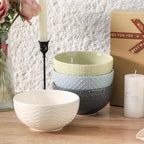 HASENSE Ceramic Cereal Bowls Set of 4, 26 OZ Soup Bowls, Embossed Stoneware Porcelain Bowls for Cereal, Soup, Oatmeal, Salad, Noodles & Rice, Microwave & Dishwasher Safe, Multi-Color
