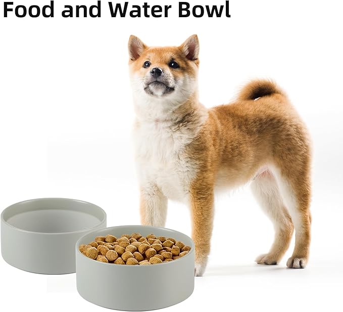Havniva Ceramic 6.1inch Non-Slip Dog Food and Water Bowl for Small & Medium Breed Dogs,Pet Bowl for Replacement, Protects Cervical Spine (Grey)