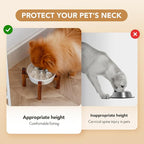 Havniva Ceramic 0.9 Cup Raised Slow Feeder Dog Bowl Set, Elevated Bowl with Acacia Wood Stand for Small Dog and Cat, 6.1inch Slow Dog Food Dish, Helps Stop Bloat(1 Bowl & Stand, Vanilla White)