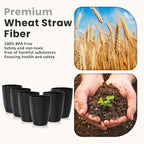 Homienly Kitchen Cups 20oz Wheat Straw Cups-6 pcs Lightweight cups Unbreakable & Reusable Glassware Set Stackable for Party,Camping,Picnic-Black