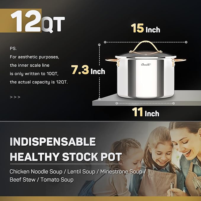 Stock Pot 12 Quart, 18/10 Tri-Ply Stainless Steel Whole Clad Stock Pot with Lid, Seamless 12 QT Cooking Pot with Copper Handle, Healthy Stockpots, Induction, Gas, Oven and Dishwasher Safe