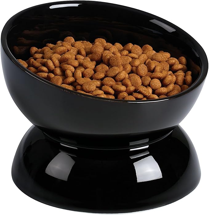 ABRUTY Cat Water Bowl, 16 OZ Ceramic Elevated Cat Bowls, 15° Tilted and Raised Pet Food Dish, Anti Vomiting Protect Pets' Spines and Whisker Fatigue