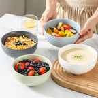 HASENSE Ceramic Cereal Bowls Set of 4, 26 OZ Soup Bowls, Embossed Stoneware Porcelain Bowls for Cereal, Soup, Oatmeal, Salad, Noodles & Rice, Microwave & Dishwasher Safe, Multi-Color