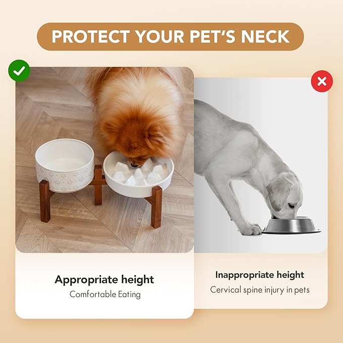 Havniva Ceramic 1.2 Cup Raised Slow Feeder Dog Bowl Set, Elevated 6.1inch Bowl and 7.3inch Slow Feeder Dish with Acacia Wood Stand for Small and Medium Dogs (2 x Reactived Glaze -White+ Stand)