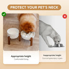 Havniva Ceramic 1.2 Cup Raised Slow Feeder Dog Bowl Set, Elevated 6.1inch Bowl and 7.3inch Slow Feeder Dish with Acacia Wood Stand for Small and Medium Dogs (2 x Reactived Glaze -White+ Stand)