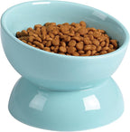 ABRUTY Cat Water Bowl, 16 OZ Ceramic Elevated Cat Bowls, 15° Tilted and Raised Pet Food Dish, Anti Vomiting Protect Pets' Spines and Whisker Fatigue, Turquoise