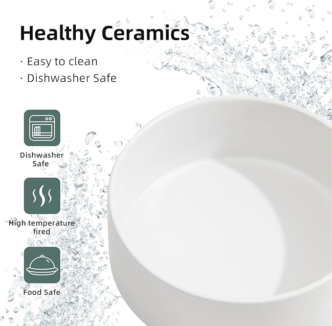 Havniva Ceramic Raised Double Bowls Set with Stand, Food & Water Bowls for Medium Breed Dogs, Weighted Dog Dishes, Pet Bowl(7.3'',41OZ, White)