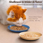 WROSWT Colorful Cat Food Bowl,Non-Slip Silicone Bottom Cat Bowls for Indoor Cats,Anti Whisker Fatigue Cats Dishes Set,Shallow Wide Kitten Plates for Food and Water,4 Pack