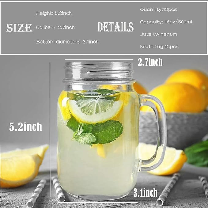 TANGLONG Mason Jar Cups, Mason Jars With Handle And Lids, Drinking Glasses Cups, Glass Mugs with Handles 16 oz –12 Pack