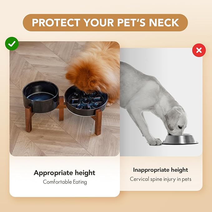 Havniva Ceramic 1.2 Cup Raised Slow Feeder Dog Bowl Set, Elevated 6.1inch Bowl and 7.3inch Slow Feeder Dish with Acacia Wood Stand for Small and Medium Dogs (2 x Starry Sky+ Stand)