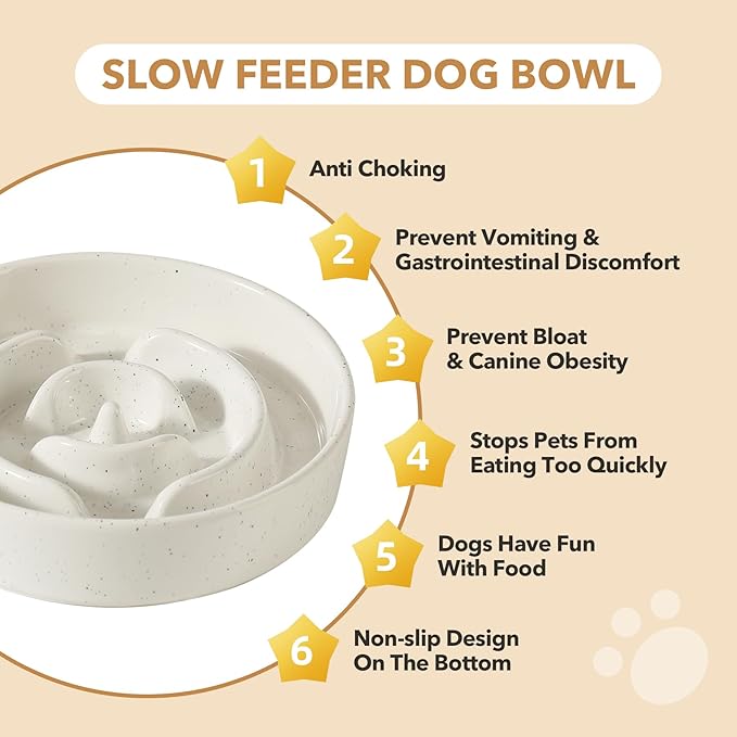 Havniva Ceramic 1.6 Cup Raised Slow Feeder Dog Bowl Set, Elevated 7.3inch Bowl and 8.2inch Dish with Acacia Wood Stand for Medium and Large Dogs(2 x Vanilla White+ Stand)