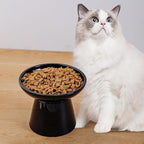 6.2 Inch Extra Wide Elevated Ceramic Cat Bowls, Food and Water Bowl Set for Elder Big Cats Small Dogs, Raised Design for Pet Easy Eating, Protect Cat's Spine Set of 2(Black)