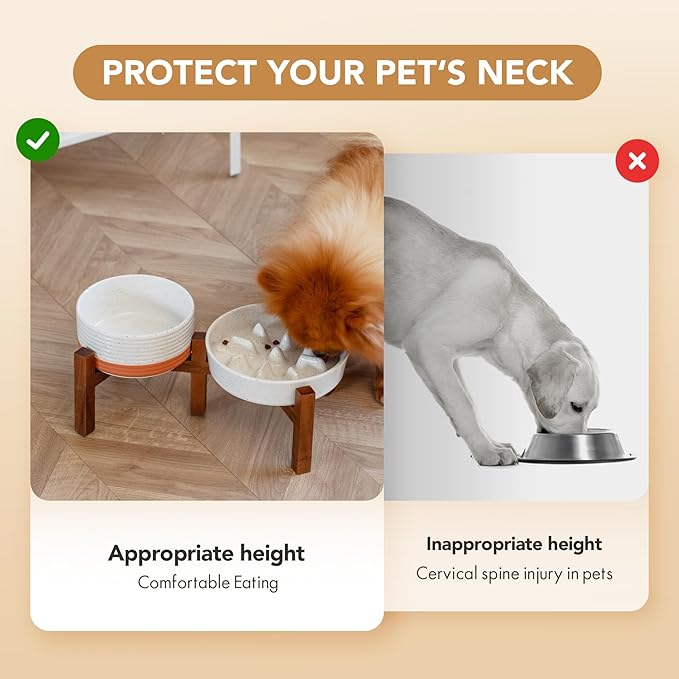 Havniva Ceramic 1.2 Cup Raised Slow Feeder Dog Bowl Set, Elevated 6.1inch Bowl and 7.3inch Slow Feeder Dish with Acacia Wood Stand for Small and Medium Dogs (2 x Vanilla White+ Stand)