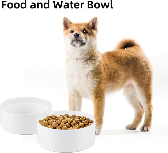 Havniva Ceramic 6.1inch Non-Slip Dog Food and Water Bowl for Small & Medium Breed Dogs,Pet Bowl for Replacement, Protects Cervical Spine (White)