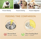 Havniva Ceramic 0.9 Cup Raised Slow Feeder Dog Bowl Set, Elevated Bowl with Acacia Wood Stand for Small Dog and Cat, 6.1inch Slow Dog Food Dish, Helps Stop Bloat(1 Bowl & Stand, Vanilla White)