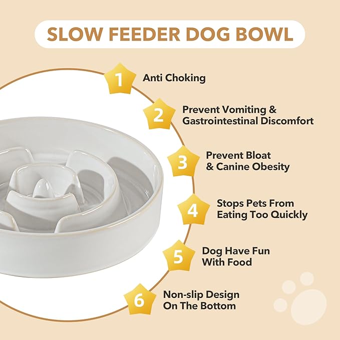 Havniva Ceramic 3.2 Cup Dog Bowl Slow Feeder for Large Dog, 9.5inch Pet Slow Dish, Stop Bloat, Preventing Choking(Single Bowl, Reactived Glaze -White)