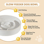 Havniva Ceramic 1.2 Cup Raised Slow Feeder Dog Bowl Set, Elevated 6.1inch Bowl and 7.3inch Dish with Acacia Wood Stand for Small and Medium Dog(2 x Reactived Glaze -White+ Stand)