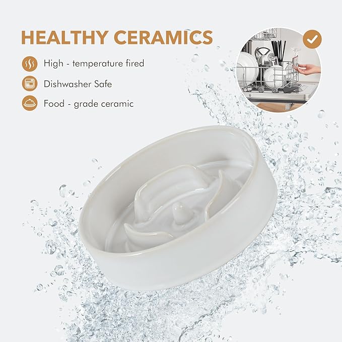 Havniva Ceramic 0.9 Cup Raised Slow Feeder Dog Bowl Set, Elevated 6.1inch Water Bowl and 6.1inch Slow Dish with Acacia Wood Stand for Small Dogs (2 x Reactived Glaze -White+ Stand)
