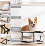 Ceramic Elevated Dog Bowl Set - Raised Food and Water Bowls with Metal Stand - Double Pet Dishes for Small and Medium Dogs - 2 Cups - 27 fl oz - Matte Whit