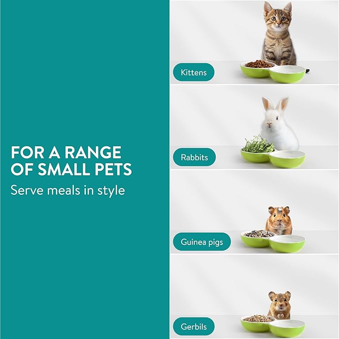 Navaris Twin Feeding Dog or Cat Bowls - Durable Double Ceramic Kitten or Puppy Bowl Set - Ideal for Food & Water for Small Pets - Space-Saving Design & Easy to Clean - Green