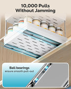 Nieifi Spice Organization for Cabinet-Vertical Spice Rack Pull Out-Spice Rack Organizer for Cabinet-8-1/4 inch Wide-Seasoning Kitchen Organizer-8.26" W x 10.6" D x 8.7" H-1 Pack-2 Tier