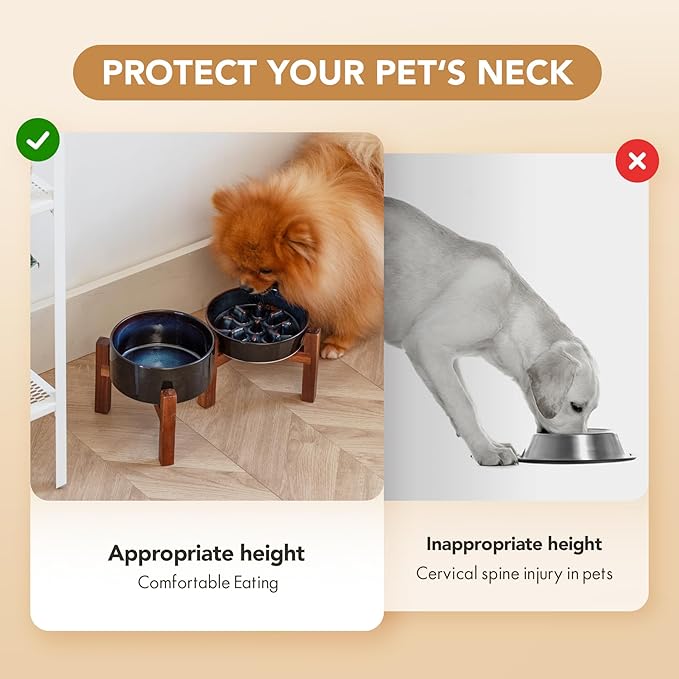 Havniva Ceramic 0.9 Cup Raised Slow Feeder Dog Food and Water Bowl Set, Elevated 6.1inch Bowl and 6.1inch Dish with Acacia Wood Stand for Small Dogs (2 x Starry Sky+ Stand)