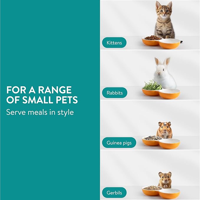 Navaris Twin Feeding Bowls for Small Pets - Durable Double Ceramic Bowl Set for Rabbits, Guinea Pigs - Ideal Food & Water for Kitten, Puppy - Space-Saving & Easy to Clean - Orange