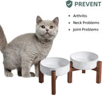 Havniva 6.1inch Ceramic Raised Double Bowls Set with Acacia Wood Stand, 2 Heights Elevated, Food & Water Bowls for Toy Breed Dogs, Kitty, Cats, Pet Bowl(13.5OZ, Arctic White)