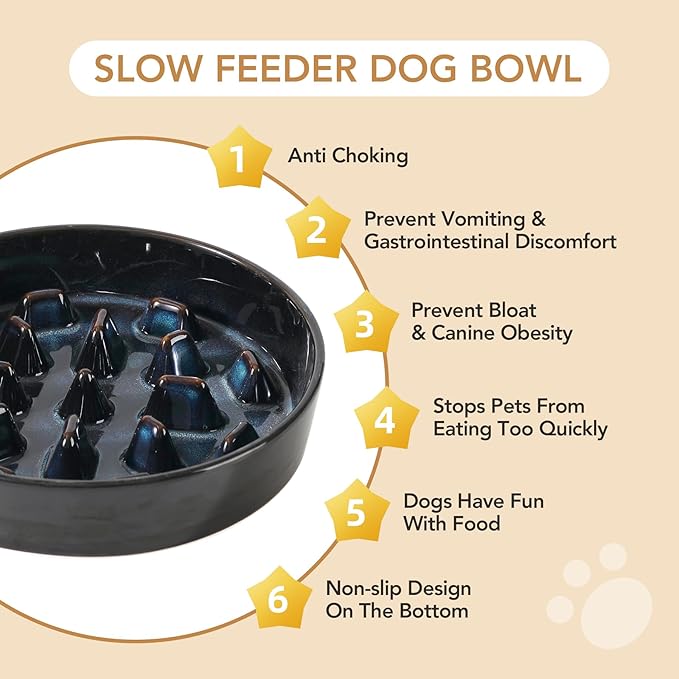 Havniva Ceramic 3.2 Cup Dog Bowl Slow Feeder, 9.5 inch Slow Pet Food Dish for Large Dog, Stop Bloat, Preventing Choking(Single Bowl, Starry Sky)