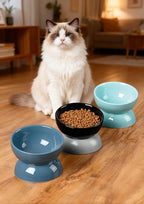 ABRUTY Cat Water Bowl, 16 OZ Ceramic Elevated Cat Bowls, 15° Tilted and Raised Pet Food Dish, Anti Vomiting Protect Pets' Spines and Whisker Fatigue, Blue