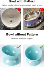 ABRUTY Cat Water Bowl, 16 OZ Ceramic Elevated Cat Bowls, 15° Tilted and Raised Pet Food Dish, Anti Vomiting Protect Pets' Spines and Whisker Fatigue, Set of 2, Turquoise