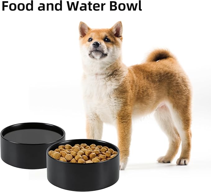 Havniva Ceramic 6.1inch Non-Slip Dog Food and Water Bowl for Small & Medium Breed Dogs,Pet Bowl for Replacement, Protects Cervical Spine (Black)