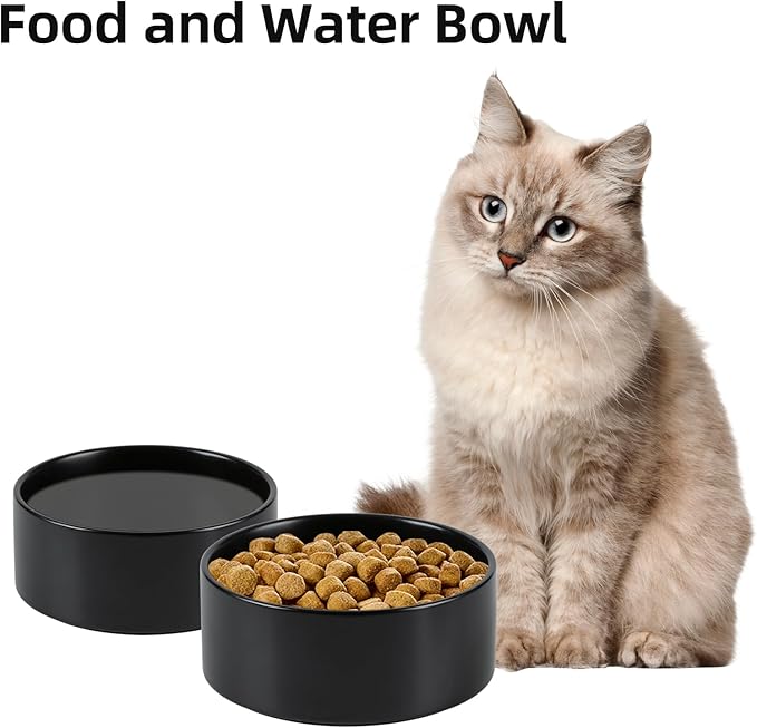 Havniva Ceramic 5.1inch Set of 2 Dog and Cat Bowls, Food and Water Feeder for Small Breed Dogs, Kitty, Cats, 2pcs Dog & Cat Dishes(2 Bowls, Black)